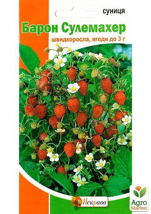 Суниця "Барон сулемахер" ТМ "Яскрава" 0.1г