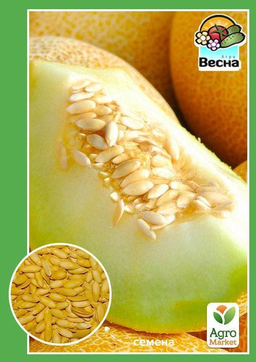Диня "Дана" ТМ "Весна" 1.5г