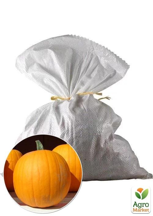 Тыква "Гилея" ТМ Весна 3кг