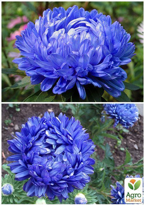 На вагу Айстра "Лазурит" ТМ "Весна" ціна за 1,5г - фото 3