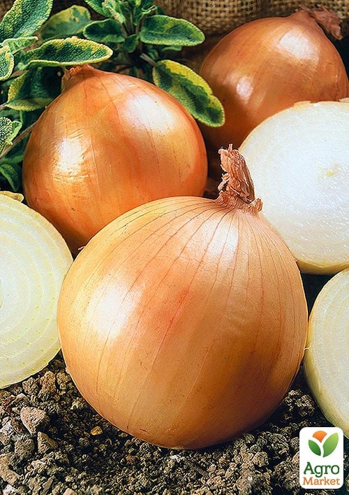 На развес Лук "Гранд Эталон" ТМ "Весна" цена за 5г - фото 2