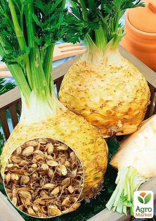 Сельдерей корневой (Зипер) ТМ "Весна" 1г