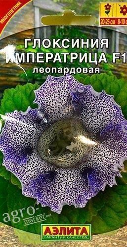 Глоксиния "Императрица F1 леопардовая" ТМ "Аэлита" 5шт