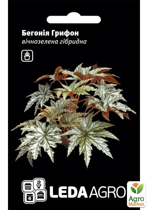 Бегония вечнозеленая "Грифон" ТМ "Leda Agro" 3шт