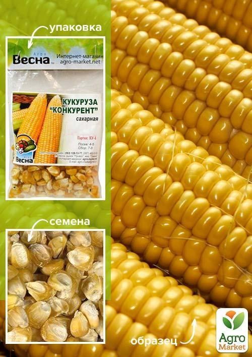 Кукуруза "Конкурент" (Зипер) ТМ "Весна" 20г