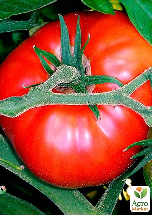 Томат "Пан-барон" ТМ "Vesna Select" 0.2г
