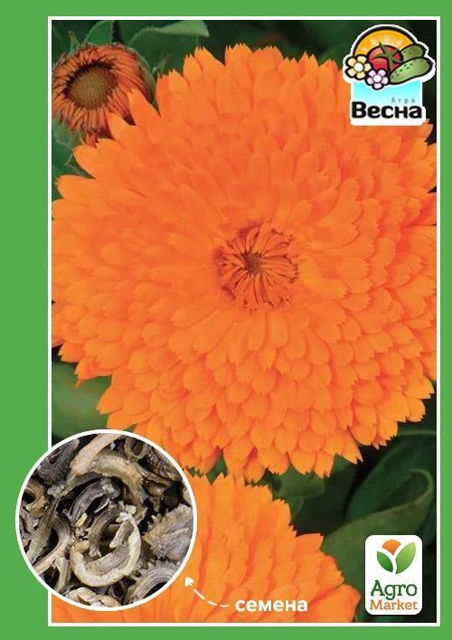 Календула "Помаранчевий Король" ТМ "Весна" 0.5г