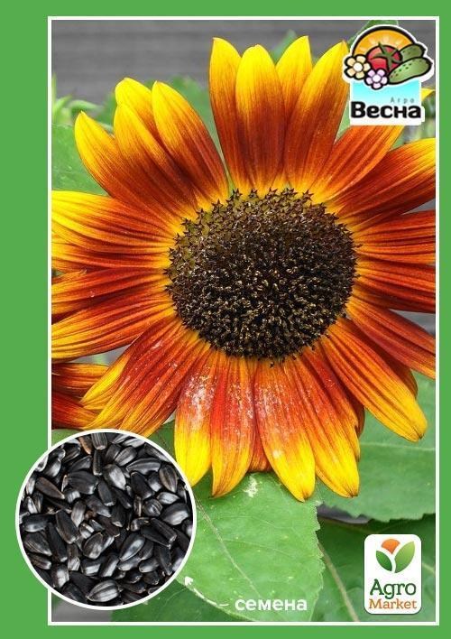 Соняшник "Геліантус" ТМ "Весна" 0.5г