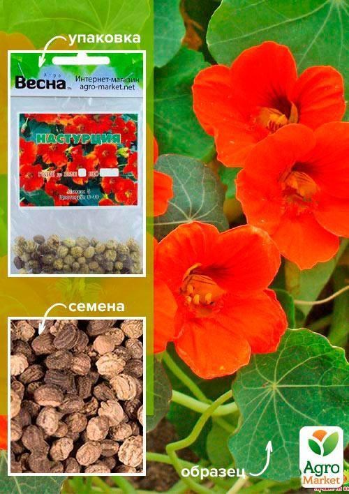 Настурція низькоросла червона (Зипер) ТМ "Весна" 2г