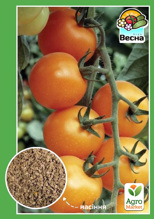 Томат "Черрі золотий" ТМ "Весна" 0.1г
