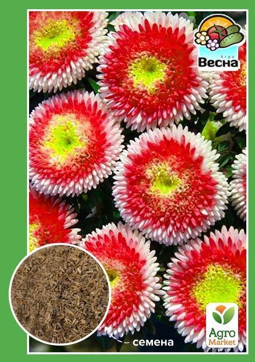 Астра "Хай-но-мару" ТМ "Весна" 0.2г