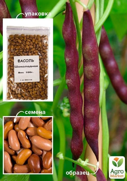 Квасоля "Шоколадна" ТМ "Весна" 100г