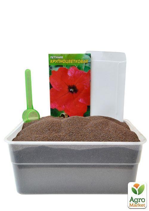 На развес Петуния "Крупноцветковая красная" ТМ "Весна" цена за 1,5г - фото 3