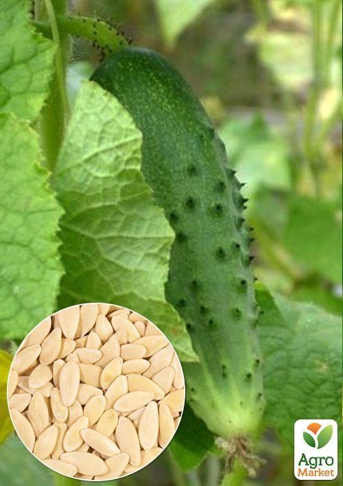 На развес Огурец  "Конкурент" ТМ "Весна" цена за 2г