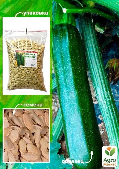 Кабачок "Цуккини" ТМ "Весна" 500г