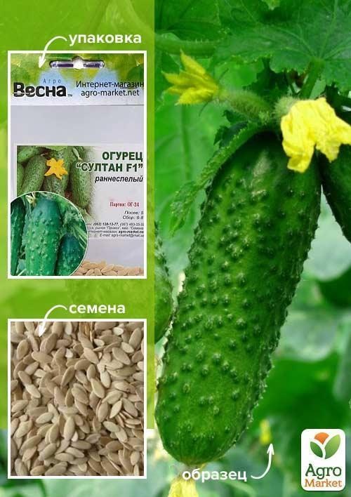 Огірок "Султан F1" (Зипер) ТМ "Весна" 1.5г