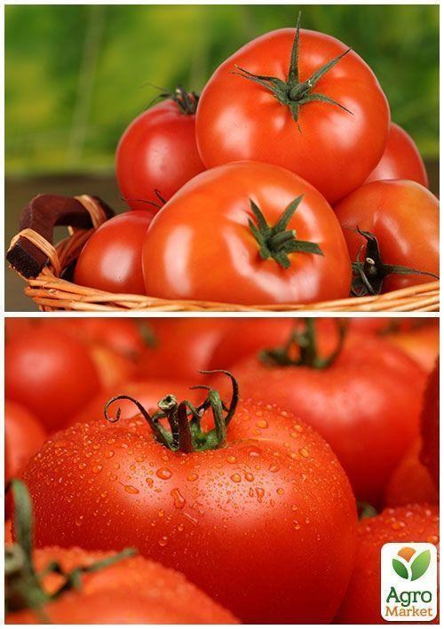 На вагу Томат "Мобіл" ТМ "Весна" ціна за 1г - фото 3