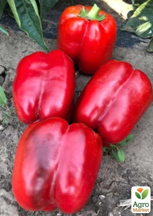 Перец "Стрит F1" ТМ "Lark Seeds" 500шт