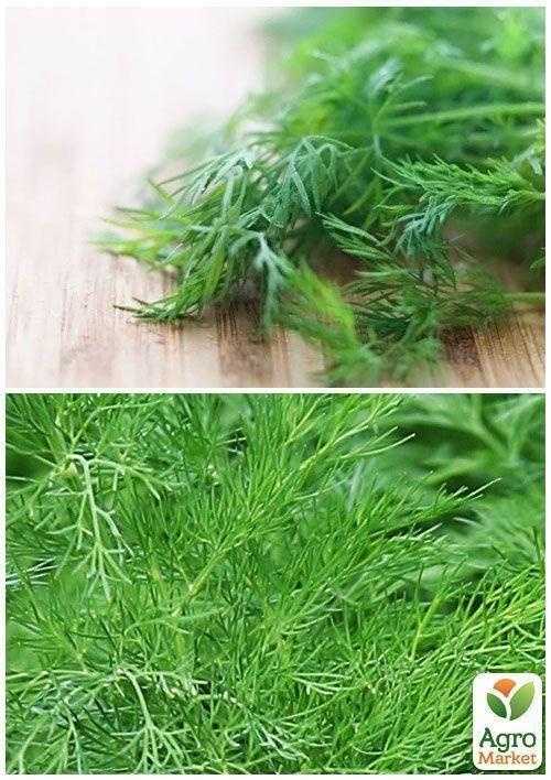 На развес Укроп "Фейерверк" ТМ "Весна" цена за 20г - фото 2