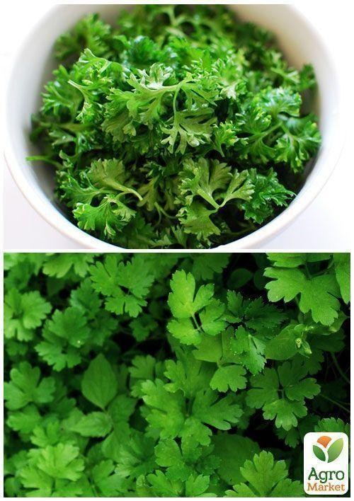 На вагу Петрушка листова ТМ "Весна" ціна за 10г - фото 3