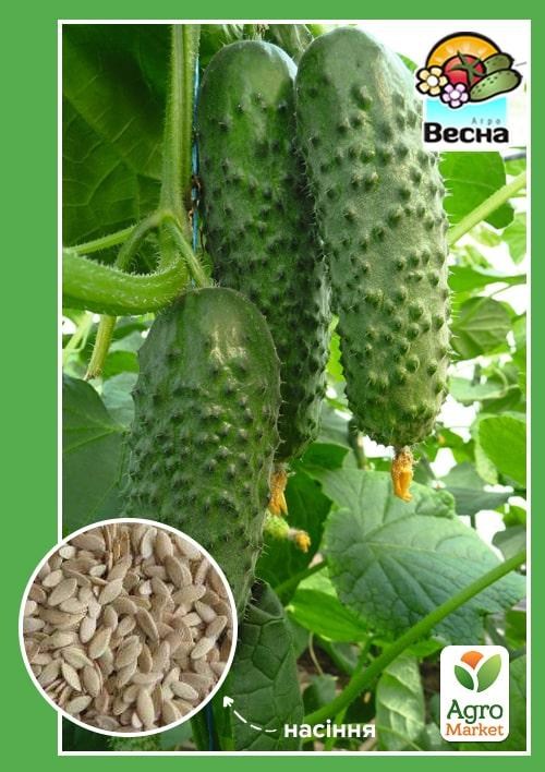 Огірок "Артист" ТМ "Весна" 0.25г