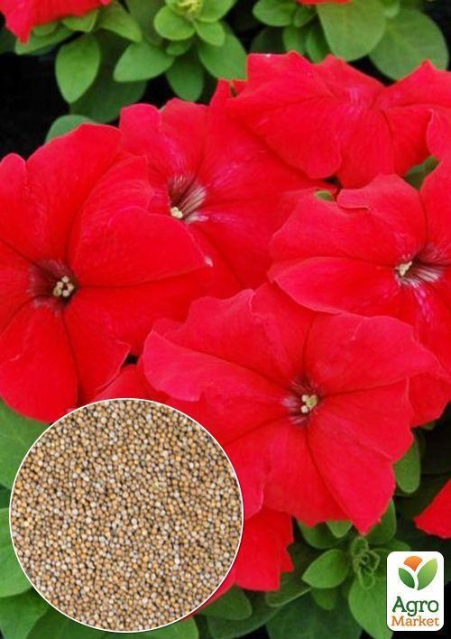 На развес Петуния "Крупноцветковая красная" ТМ "Весна" цена за 1,5г