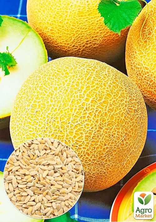 Дыня "Золотистая" (Большой пакет) ТМ "Весна" 2,5г