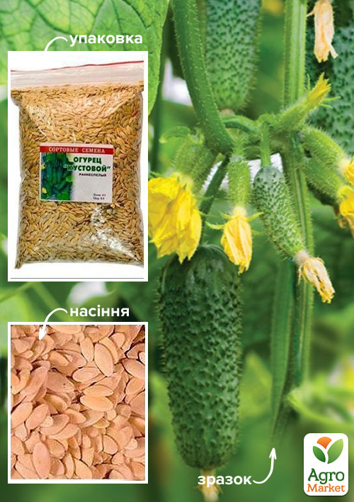Огурец "Кустовой" ТМ "Весна" 500г