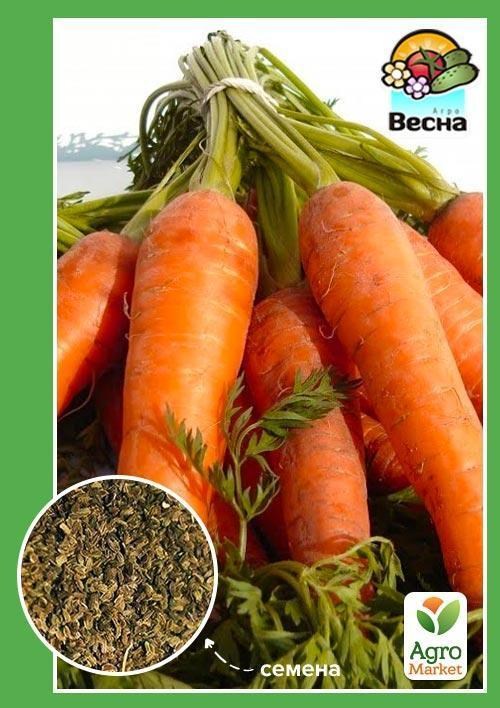 Морковь "Красавка" ТМ "Весна" 2г