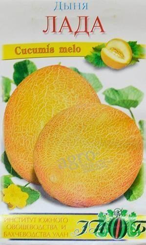 Дыня "Лада" ТМ "Солнечный март" 50шт