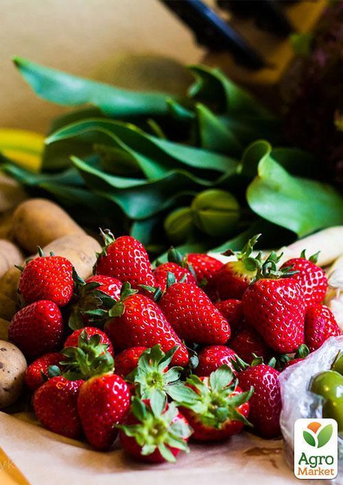 Клубника "Джоли" (Joly) (средний срок созревания)  - фото 8