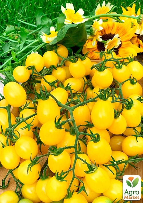 На развес Томат "Златовласка" ТМ "Весна" цена за 1г - фото 2