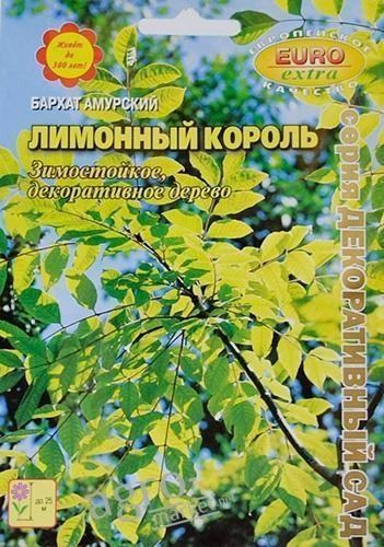 Бархат амурський "Лимонний король" ТМ "Аеліта"