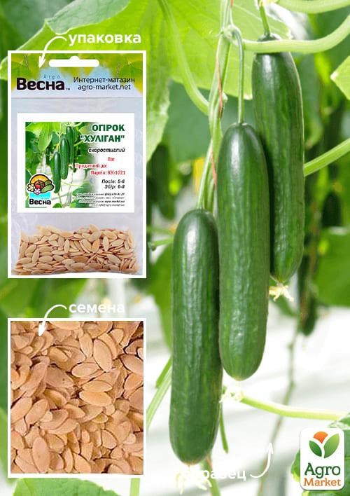 Огурец "Хулиган" (Зипер) ТМ "Весна" 0.5г