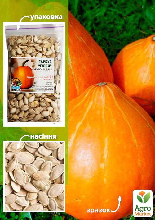 Гарбуз "Гілея" ТМ "Весна" 100г