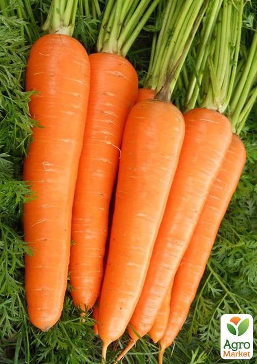 Морковь "Титан F1" ТМ "Lark Seeds" 250000шт