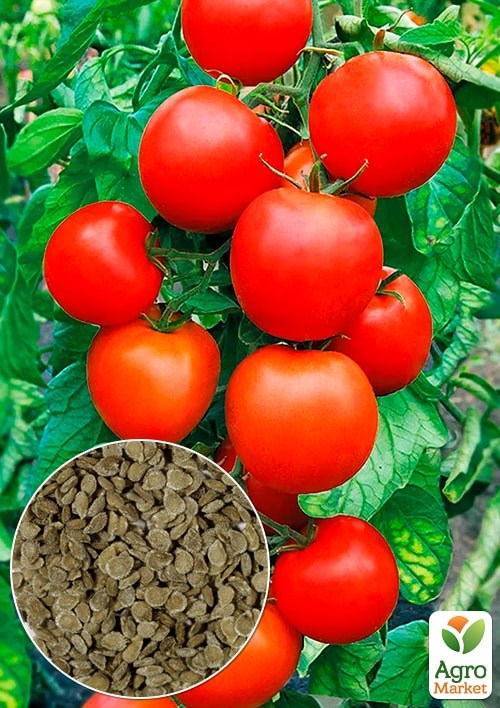 На развес Томат "Талисман" ТМ "Весна" цена за 1г