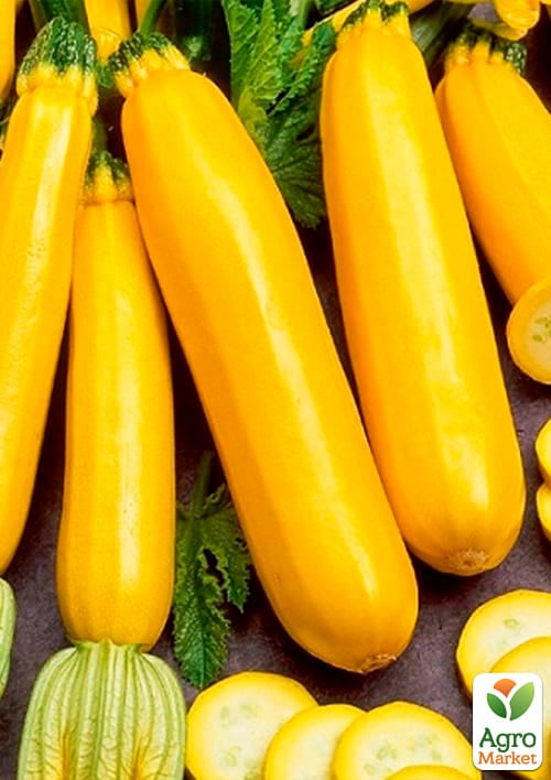 На развес Кабачок "Золотинка" ТМ "Весна" цена за 8г - фото 2