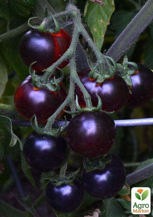 Томат-чері чорно-червоний "Смурфс" ТМ "Vesna Exclusive" 5шт - фото 6