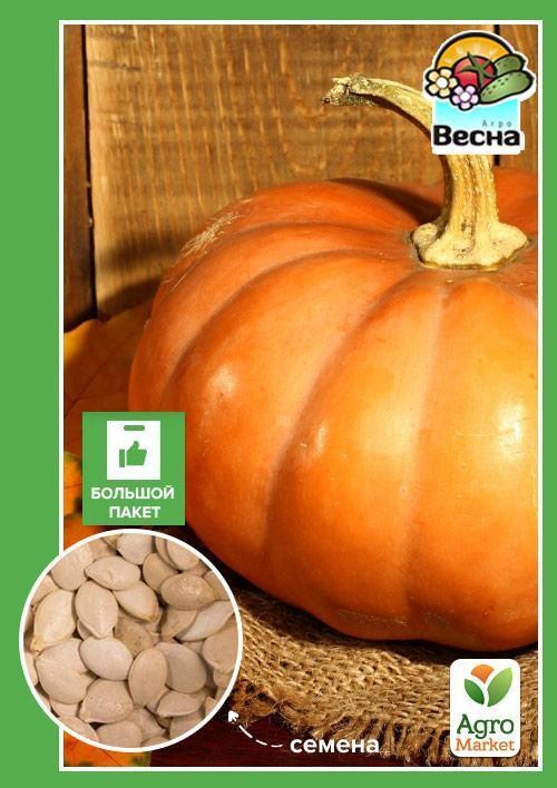 Гарбуз "Народний" (Великий пакет) ТМ "Весна" 8г