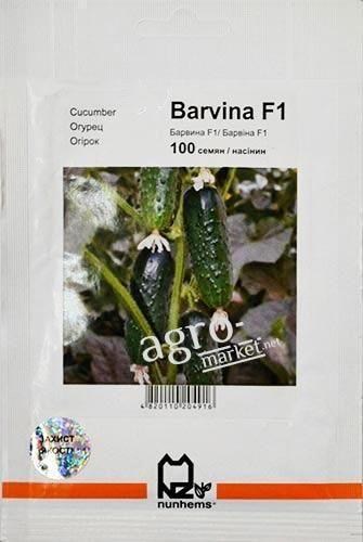 Огірок "Барвіна F1" ТМ "Nunhems" 100шт