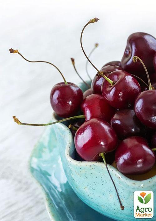 Вишня "Эрди Бутермо" - фото 4