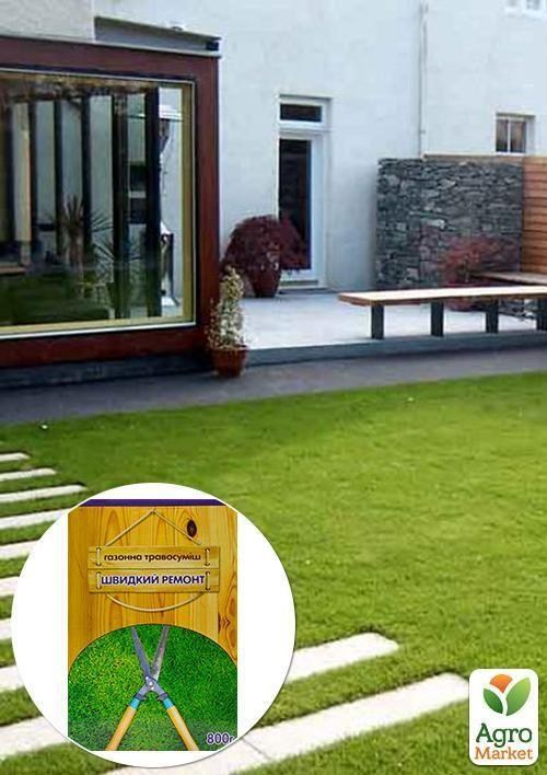 Газонная травосмесь "Быстрый ремонт" ТМ "Семейный сад" 800г