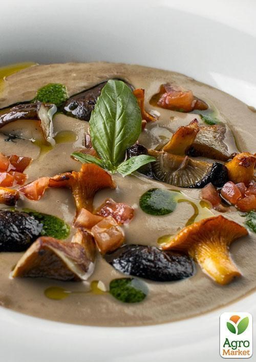 Сухой зерновой мицелий "Белый гриб дубовый" 100г - фото 2