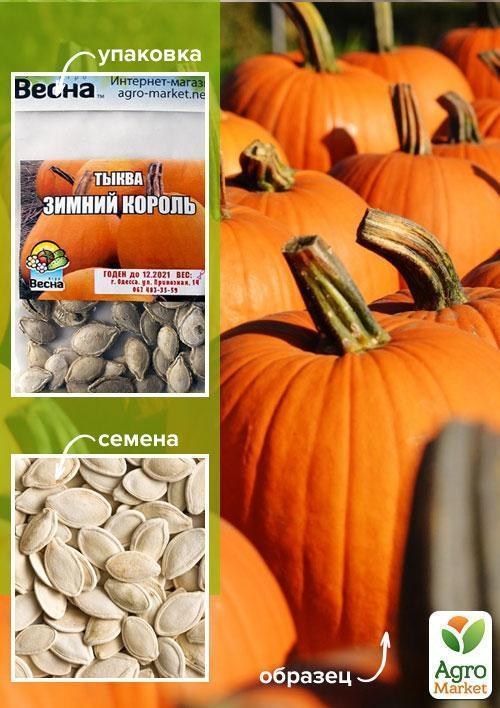 Тыква "Зимний король" (Зипер) ТМ "Весна" 8г