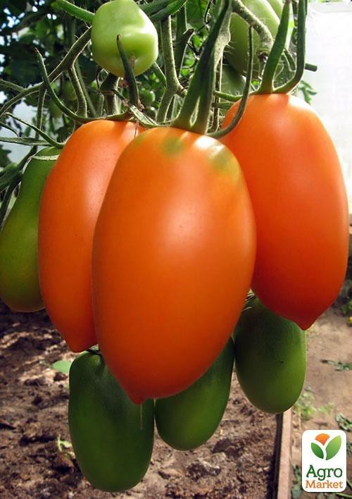 Томат "Олеся" ТМ "Vesna Select" 0,2г