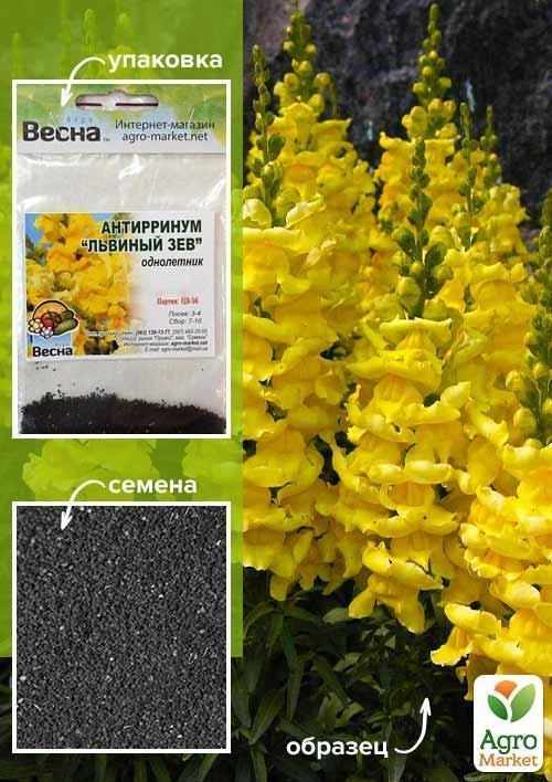 Антирринум "Львиный зев желтый" (Зипер) ТМ "Весна" 0,5г