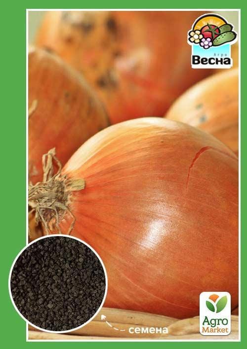 Лук "Кристина" ТМ "Весна" 2г