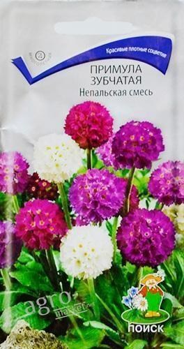 Примула зубчатая "Непальская смесь" ТМ "Поиск" 0.01г