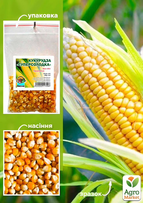 Кукурудза "Суперсолодка" ТМ "Весна" 100г